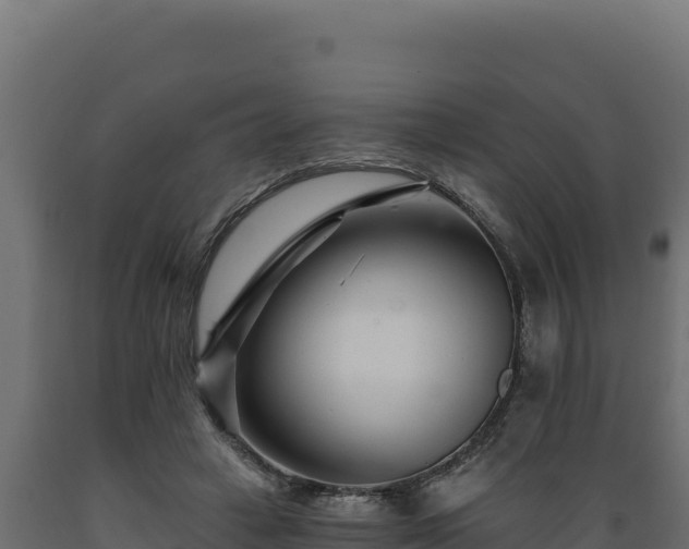 X0000089940449200707061103