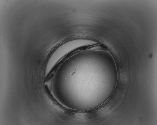 X0000089940450200707061103