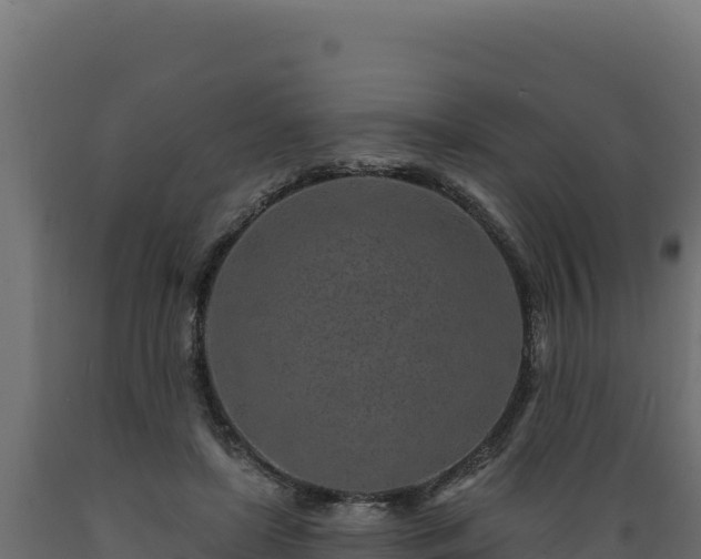 X0000089940451200707061103