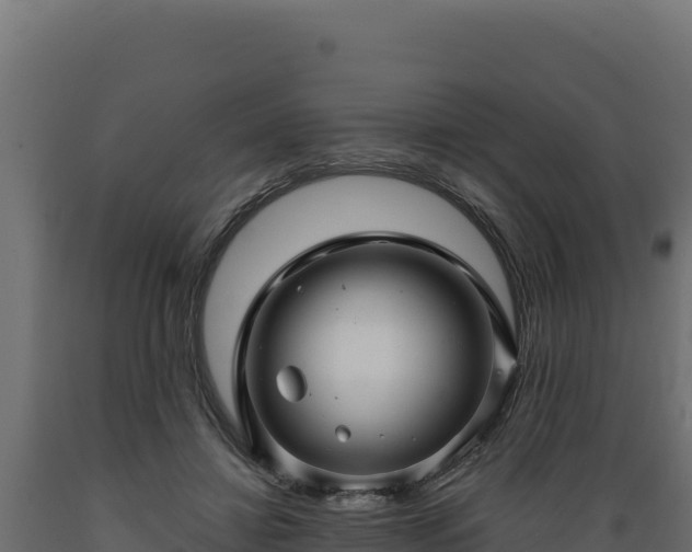 X0000089940452200707061103