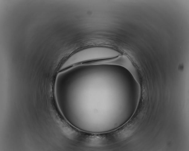 X0000089940453200707061103