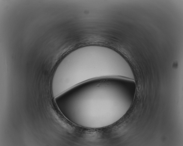 X0000089940454200707061103