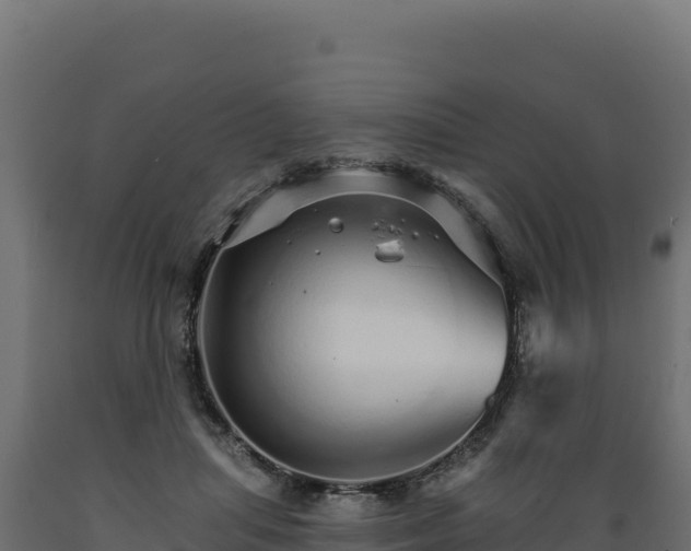 X0000089940455200707061103