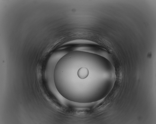 X0000089940456200707061103