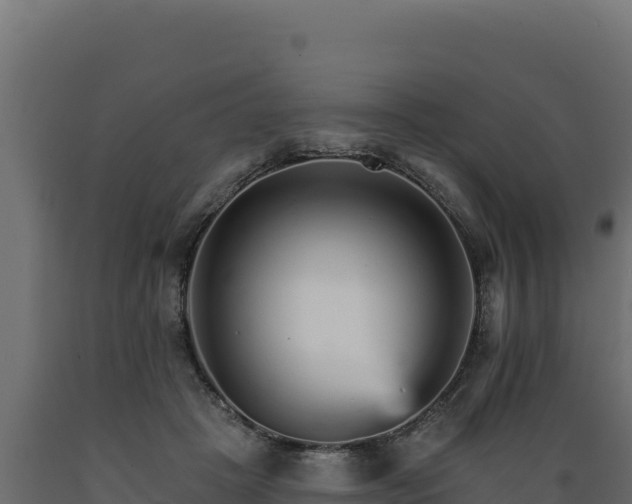 X0000089940457200707061103