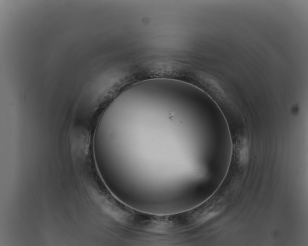 X0000089940458200707061103