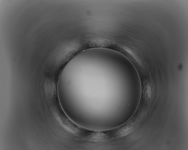 X0000089940459200707061103