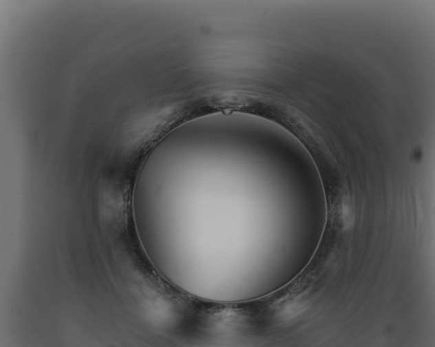 X0000089940460200707061103