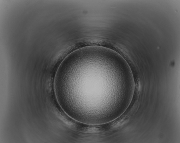 X0000089940462200707061103