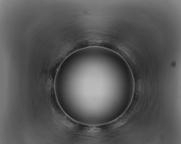 X0000089940463200707061103