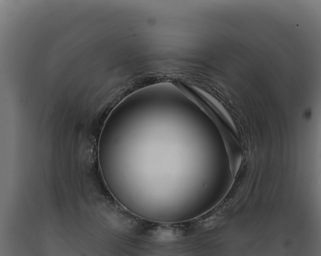 X0000089940464200707061103