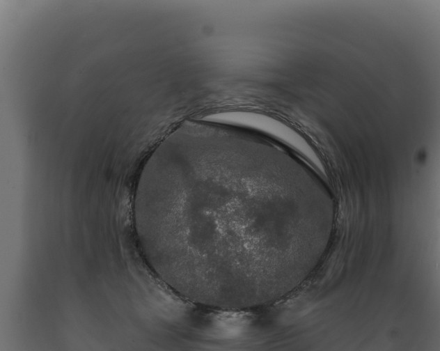 X0000089940465200707061103