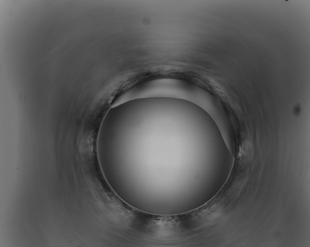 X0000089940466200707061103