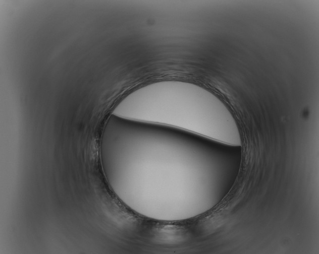 X0000089940467200707061103