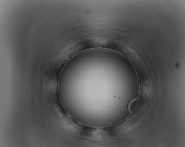 X0000089940468200707061103