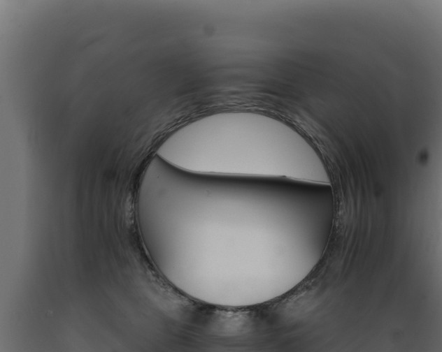 X0000089940469200707061103