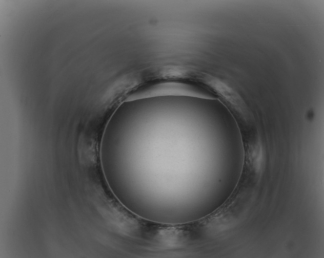 X0000089940470200707061103