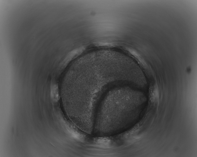 X0000089940471200707061103