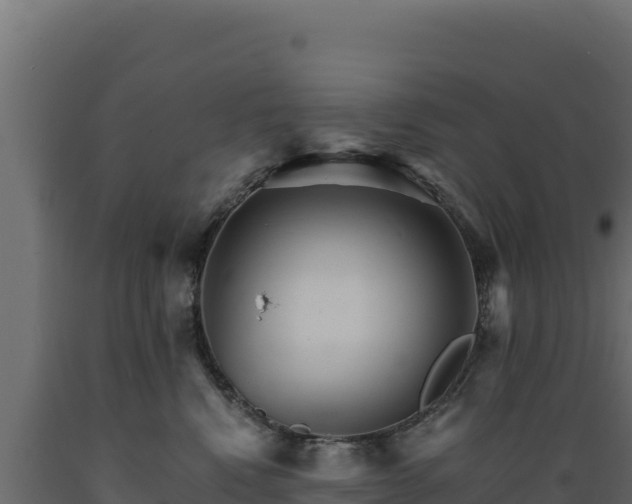 X0000089940472200707061103