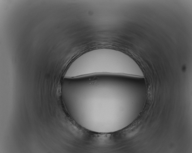 X0000089940474200707061103