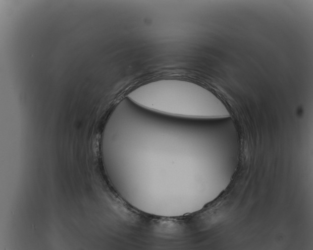 X0000089940475200707061103