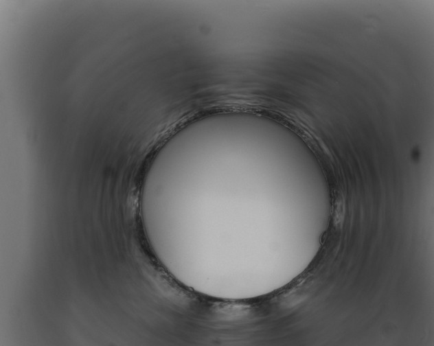 X0000089940476200707061104