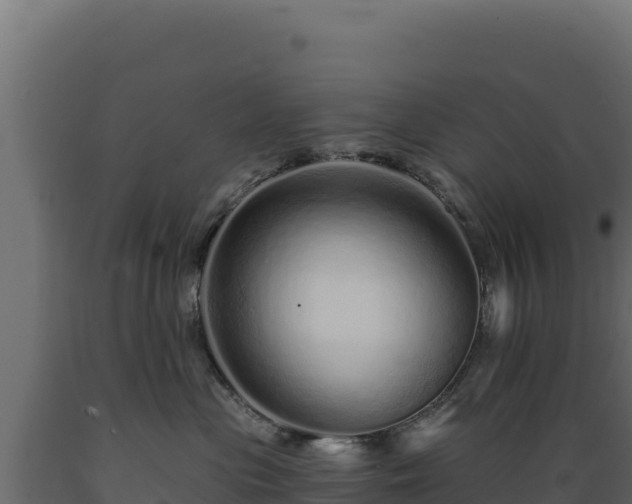 X0000089940477200707061104