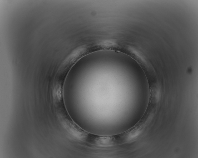 X0000089940479200707061104