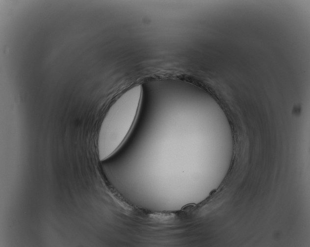 X0000089940480200707061104