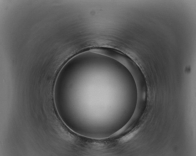 X0000089940481200707061103