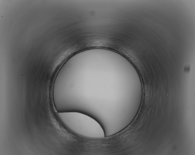 X0000089940482200707061103