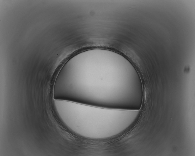 X0000089940483200707061103