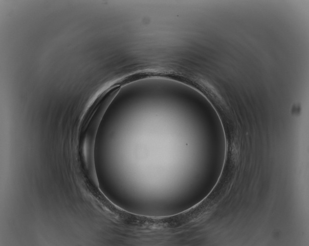 X0000089940484200707061103