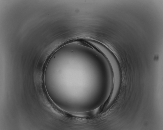 X0000089940485200707061103