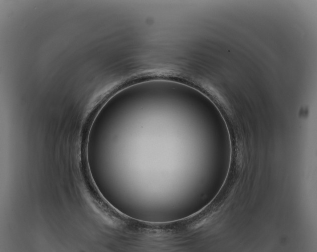 X0000089940486200707061103