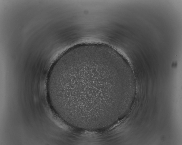 X0000089940487200707061103