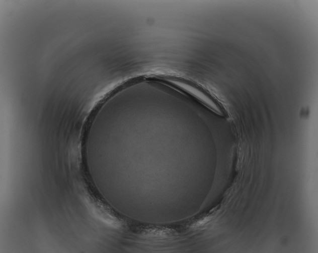 X0000089940488200707061103