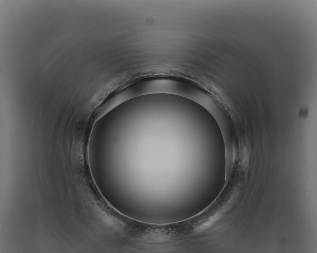 X0000089940489200707061103