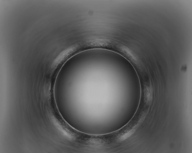 X0000089940490200707061103