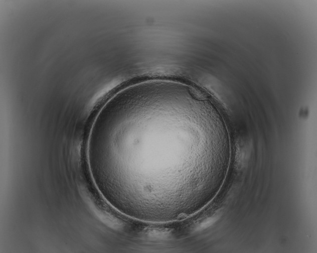 X0000089940491200707061103