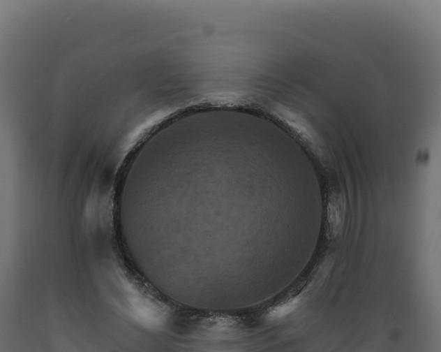 X0000089940492200707061103