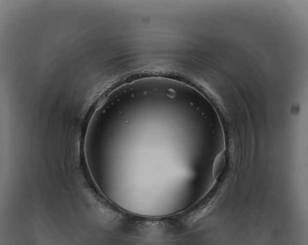 X0000089940493200707061103