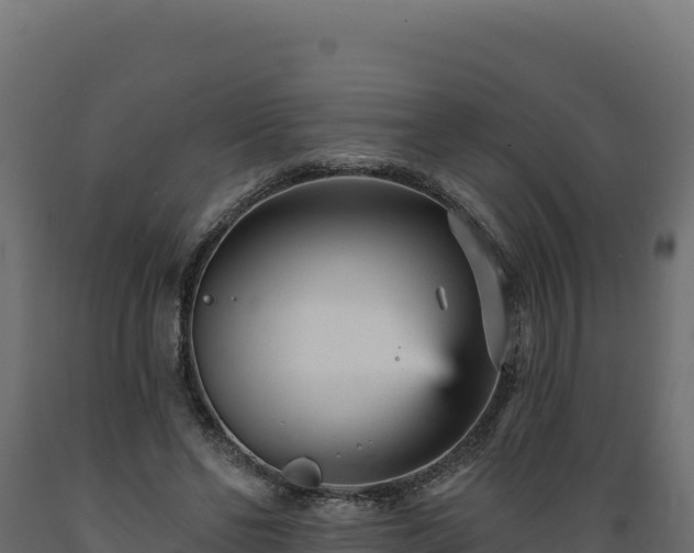 X0000089940494200707061103