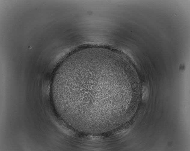 X0000089940495200707061103