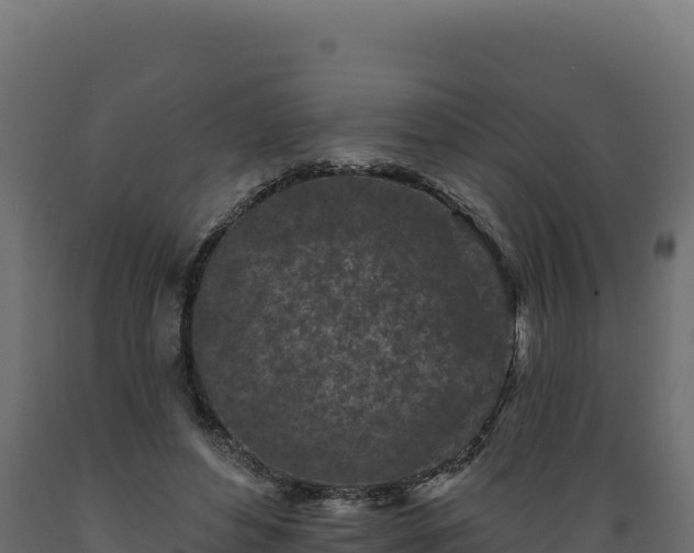 X0000089940496200707061103