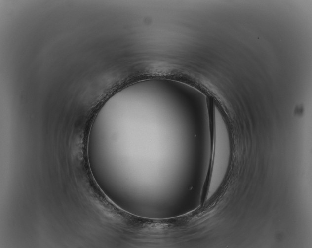 X0000089940497200707061103