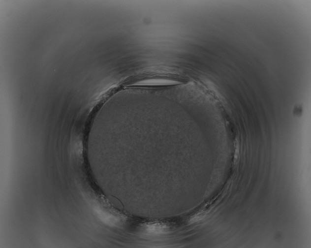 X0000089940500200707061103