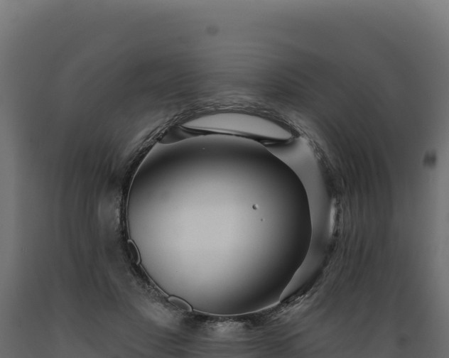 X0000089940501200707061103