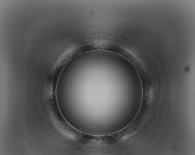 X0000089940502200707061103