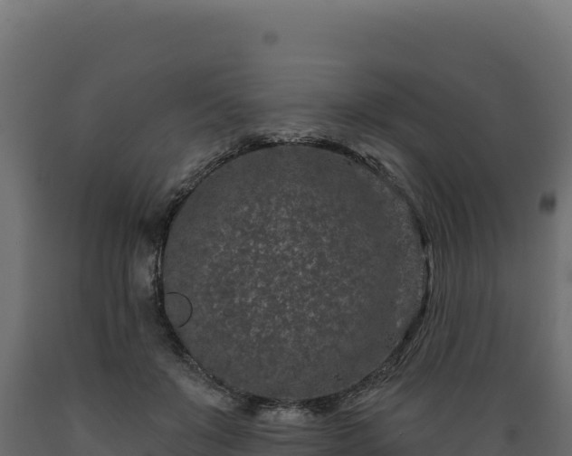 X0000089940503200707061103